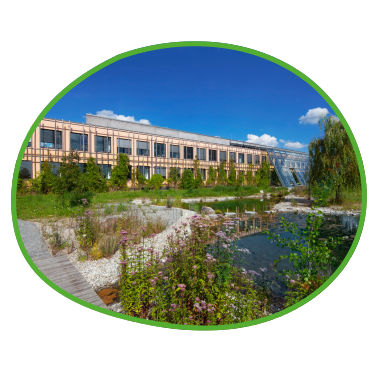 Klimafreundliches Firmengebäude mit Blühfläche und See