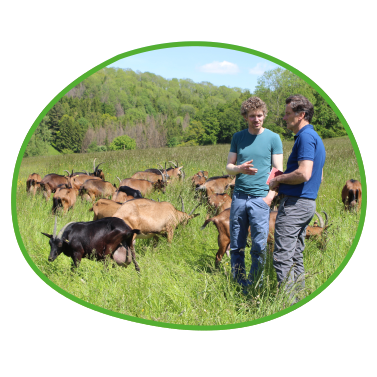 Landwirtschaft mit Bio-Ziegenhaltung