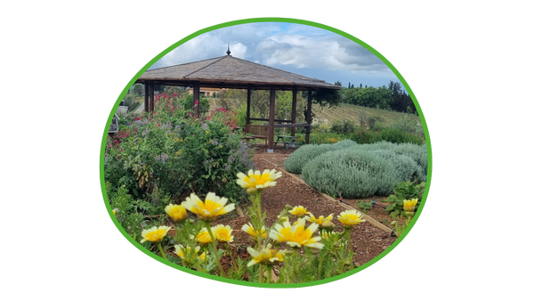 Blühende Pflanzen im Insektengarten mit Pavillon