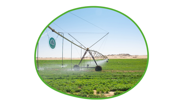 Bewässerungsanlage auf einem Feld