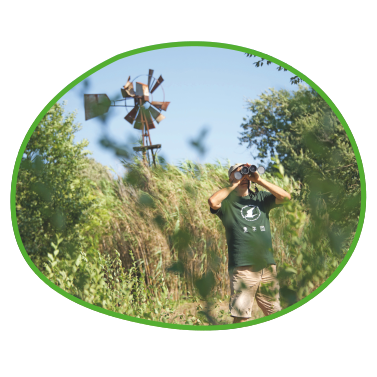 Ornithologe beobachtet Vögel