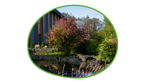 Blühender Garten auf dem Firmengelände