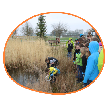 Amphibienschutz Projekt