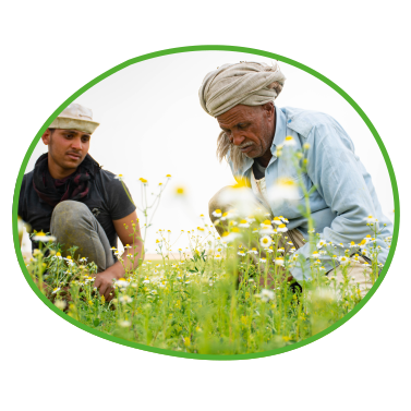 Wüste in fruchtbare Landschaft umwandeln