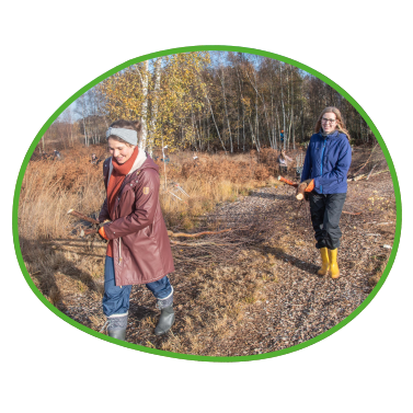 Unterwegs im Moorgebiet