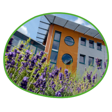 Nachhaltiges Firmengebäude mit Blühfläche