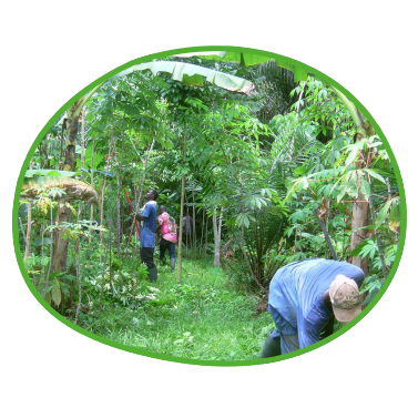 Kleinbauern in den Tropen