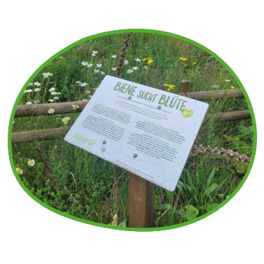 Schild für Blühinitiative auf einer Wiese