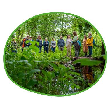 Führung durch das Auwald-Biotop