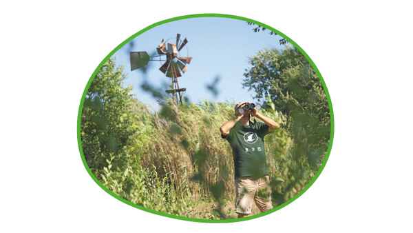 Vogelschutzinitiative