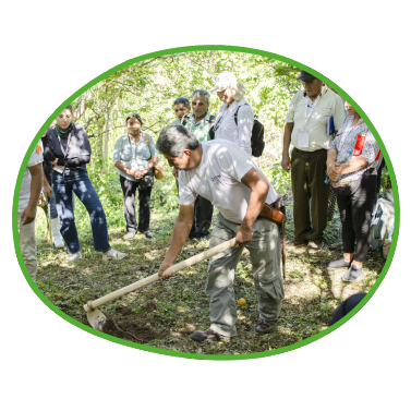 Agroforstwirtschaft in Peru