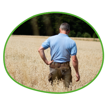 Landwirt auf Getreidefeld