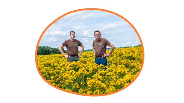 regionale Lieferketten