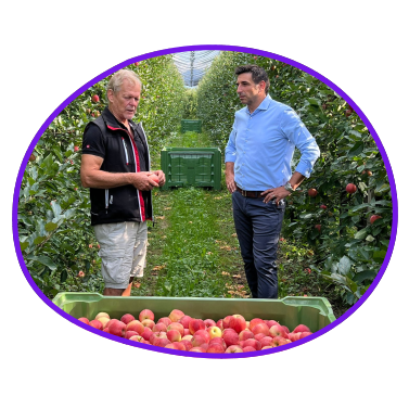 Apfelernte Rohwareneinkauf