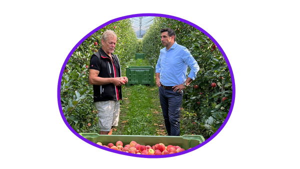 Apfelernte Rohwareneinkauf