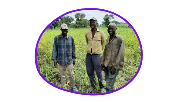 Bio Partner Unterstützung