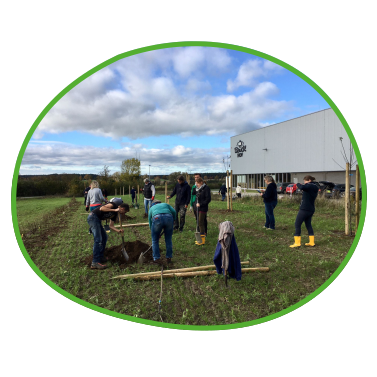 Anlegen einer Streuobstwiese auf dem Firmengelände