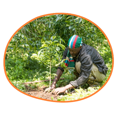 Kaffebauer in Äthiopien