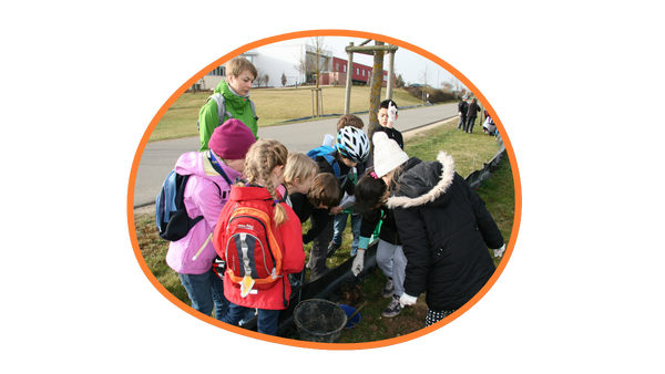 Kindergarten Amphibienschutz und Umweltschutz Projekt