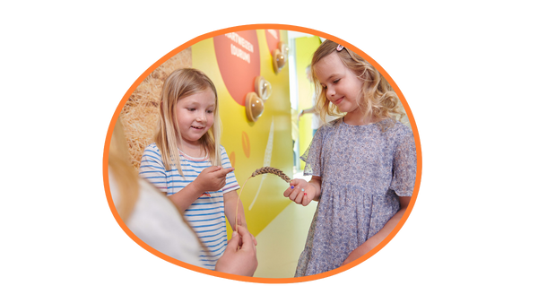 Ernährungsbildung von Kindern und transparente Einblicke in die Produktion