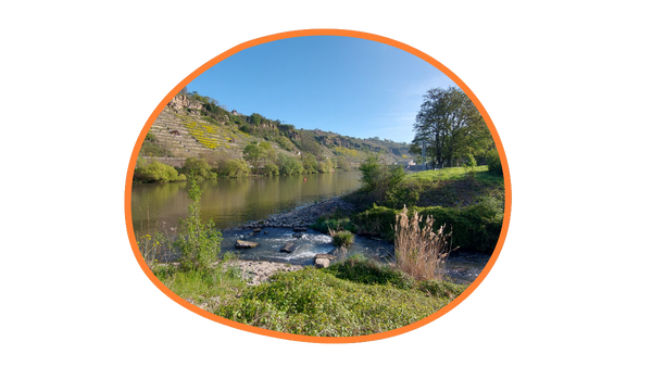 In der Natur am Nachhaltigkeitstag